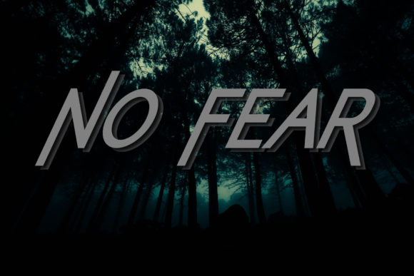The No Fear Font: A Bold Display Typeface for Branding